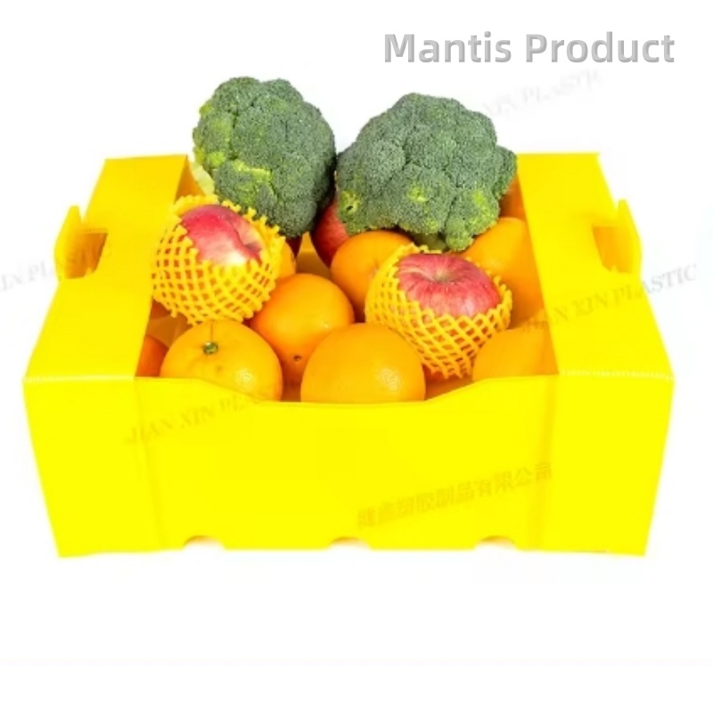 Corrugated-Plastic-Packing-Box-2-1