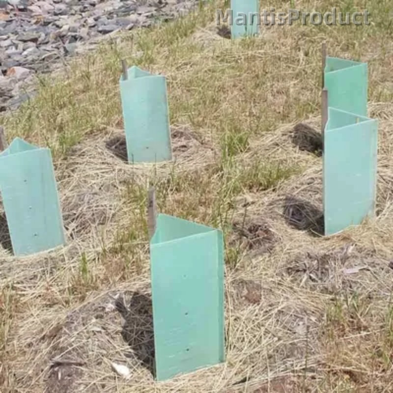 Corflute Tree Guard