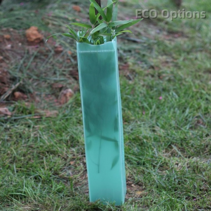 Recycling Plastic Tree Guard