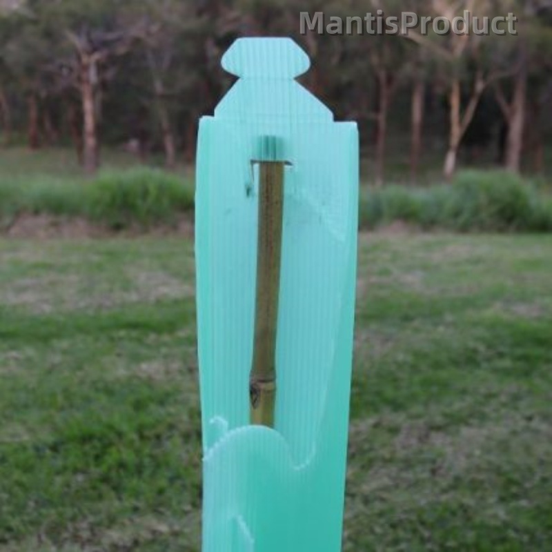 Corflute Tree Guard