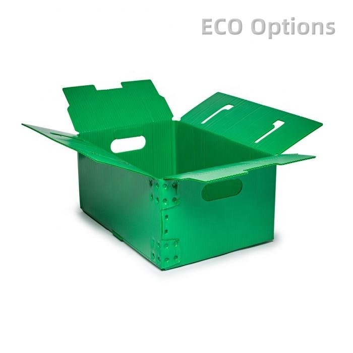 Recycling PP Corrugated Boxes