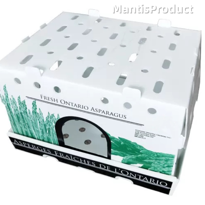 Lightweight and Tough, A Green Promise: Exploring the Packaging World of Mantis PP Hollow Plastic Boxes