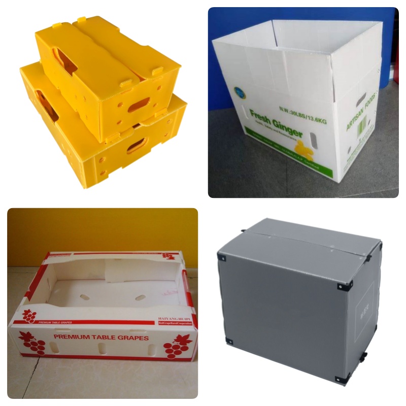 Mantis Unveils New Polypropylene Hollow Sheet Boxes for Sustainable, Durable Packaging