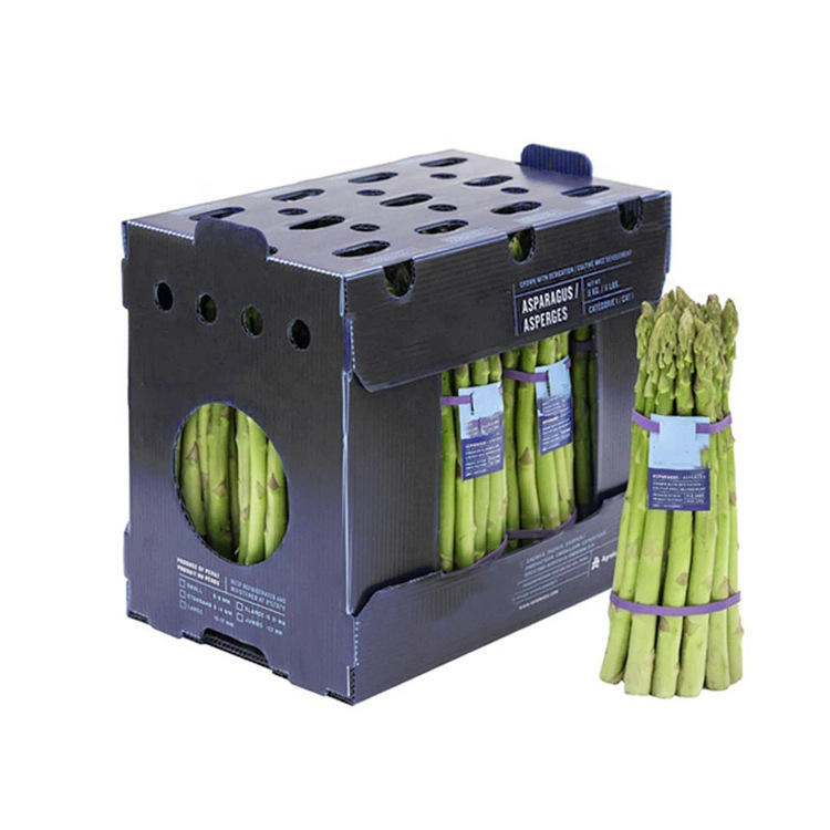 The Use of Foldable Corrugated Plastic Boxes in the Fruit and Vegetable Sector