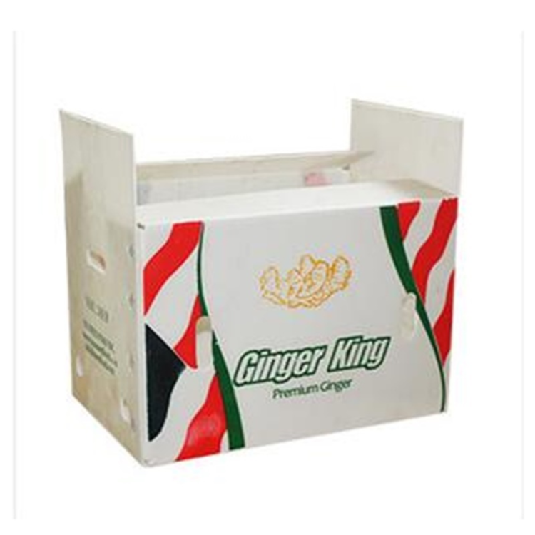 Why Choose Corrugated Plastic Boxes for Transporting Fruits and Vegetables