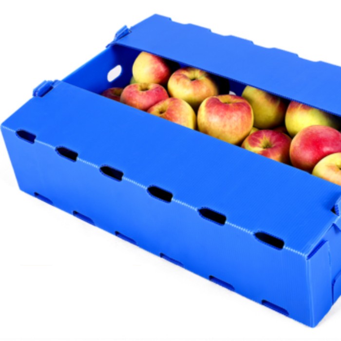 Vegetable Packaging Plastic Box.jpg Vegetable Packaging Plastic Box.jpg