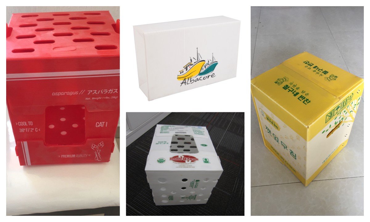 Vegetable Packaging Plastic Box 3.jpg