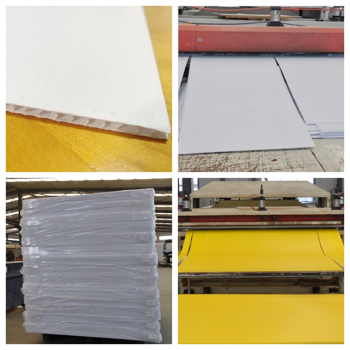 pp sheet_副本.jpg pp sheet_副本.jpg