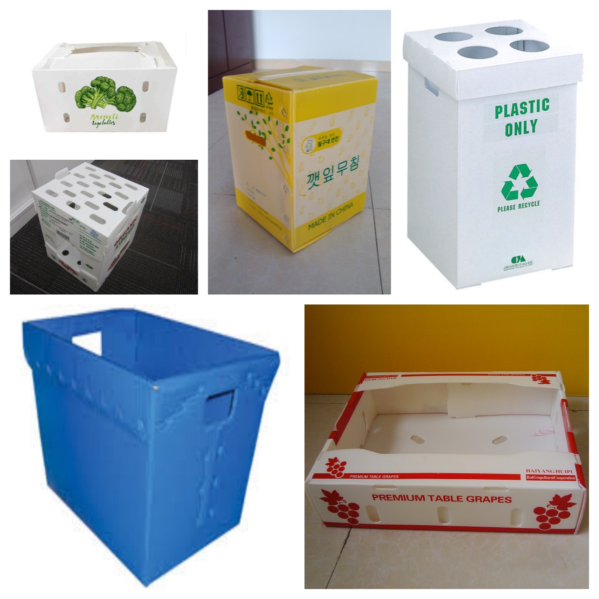 corrugated plastic box 3.jpg corrugated plastic box 3.jpg
