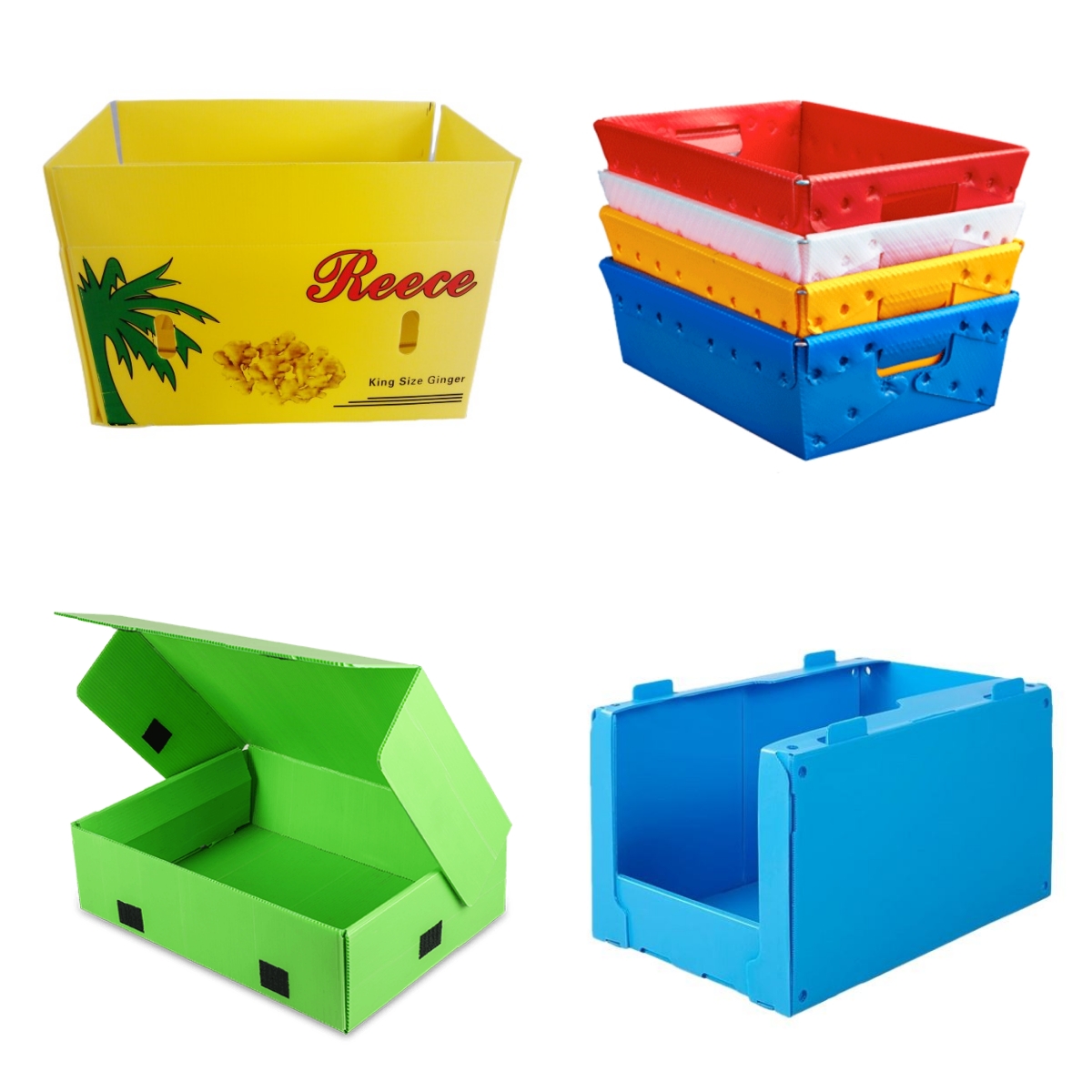 pp Box 3.jpg pp Box 3.jpg