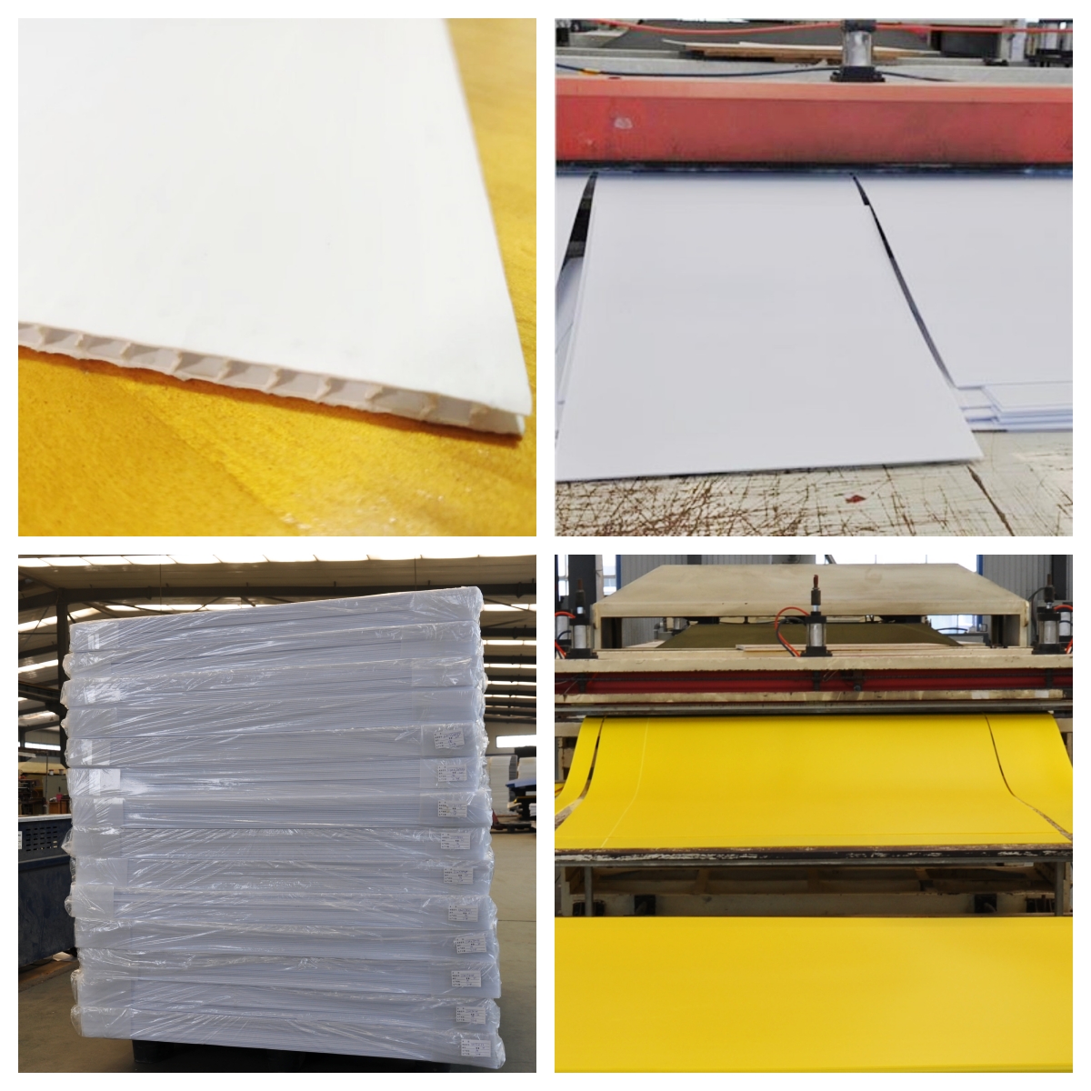 pp sheet 4.jpg pp sheet 4.jpg