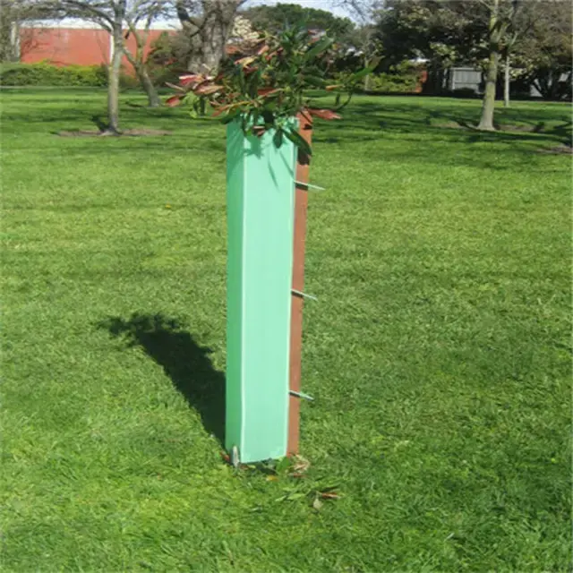 Why Corrugated Plastic Tree Protectors Improve Seedling Survival