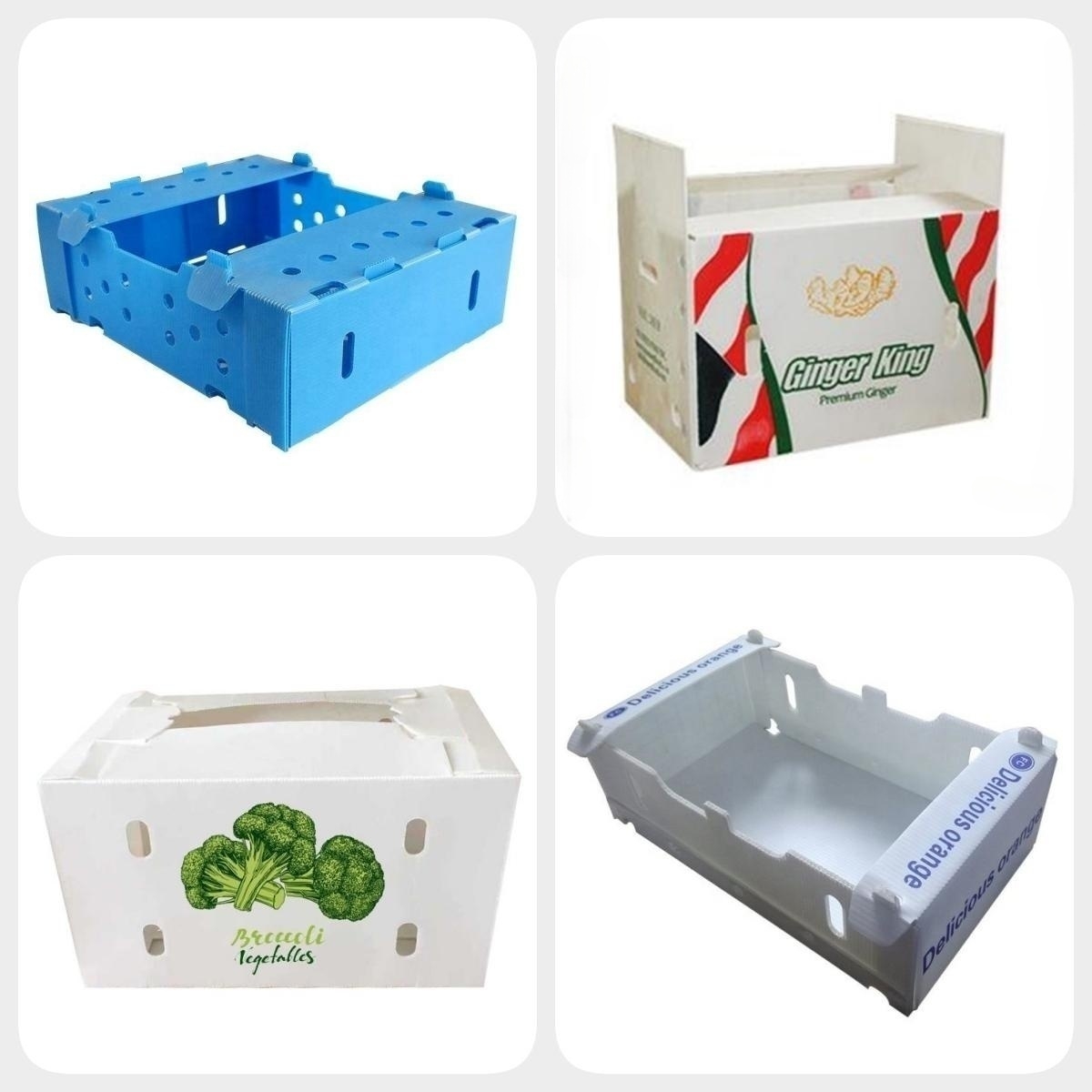 box 6.jpg box 6.jpg