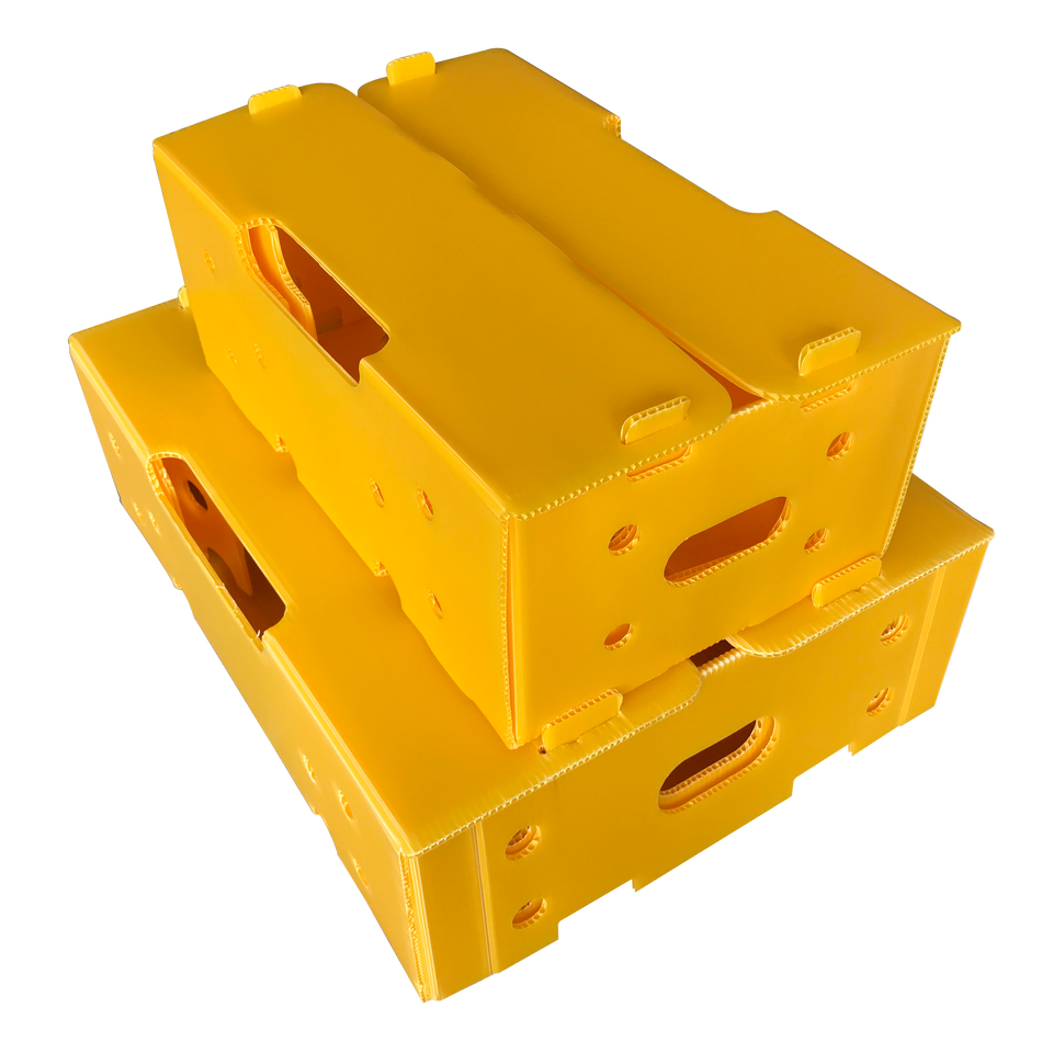 Foldable Corrugated Plastic Boxes for Space-Saving Storage