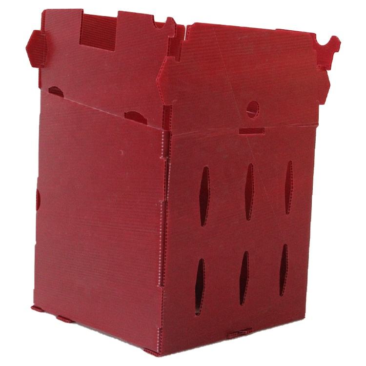 Custom Corrugated Plastic Boxes: A Complete Buying Guide