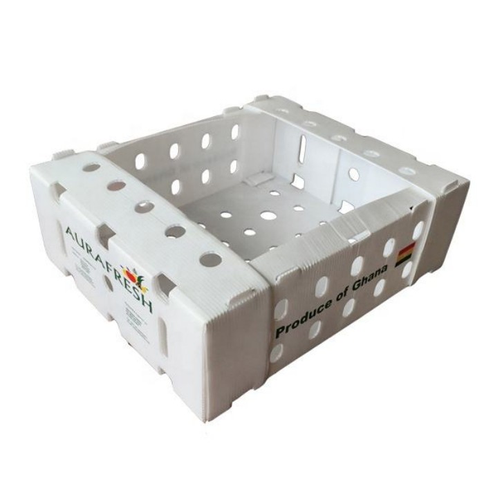 Custom Corrugated Plastic Boxes: Design and Production Guide