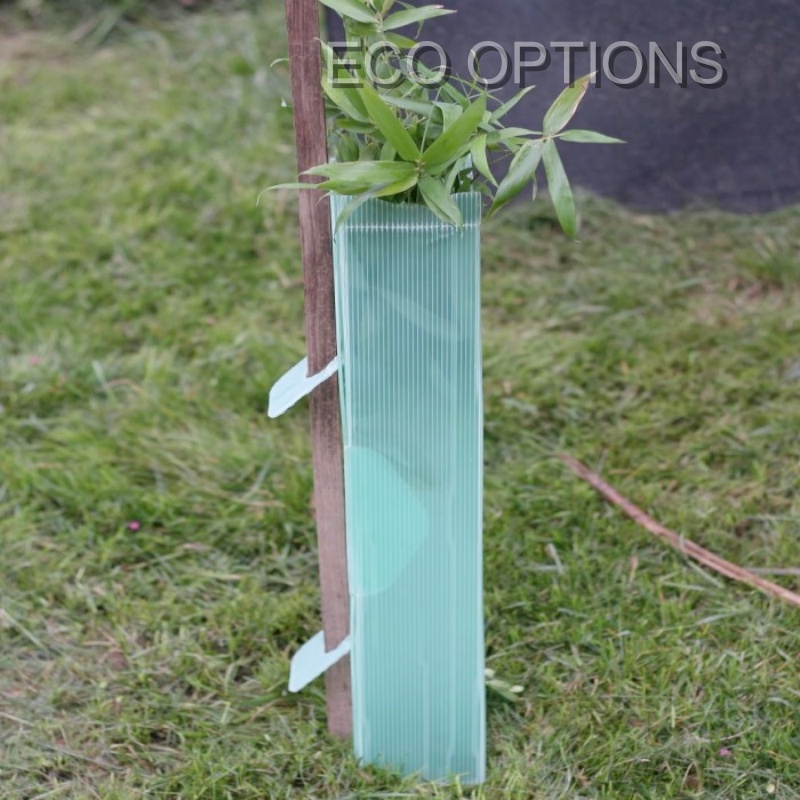 Why Corrugated Plastic Tree Guards Are Ideal for Vineyard and Orchard Protection