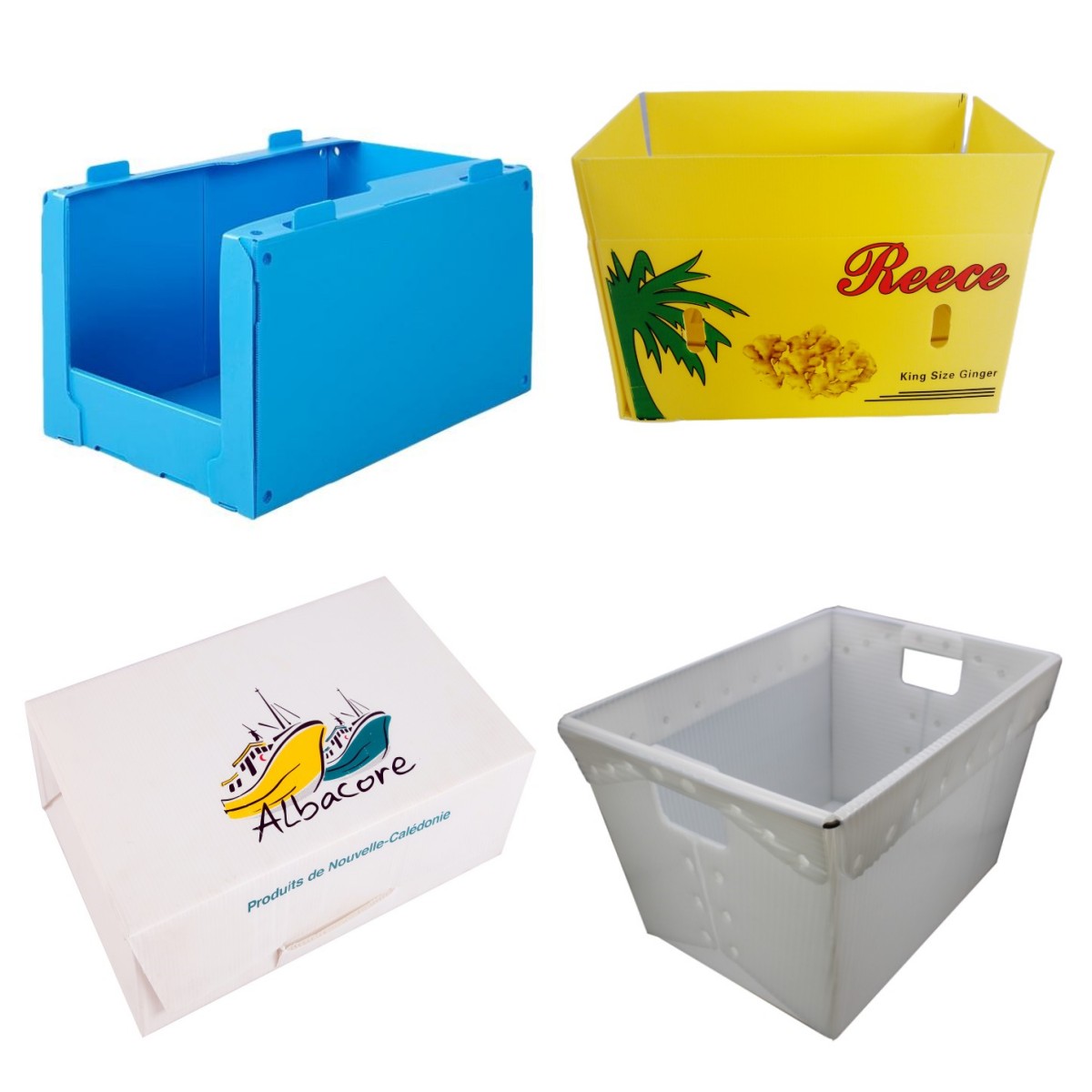 corrugated plastic box 12.jpg corrugated plastic box 12.jpg