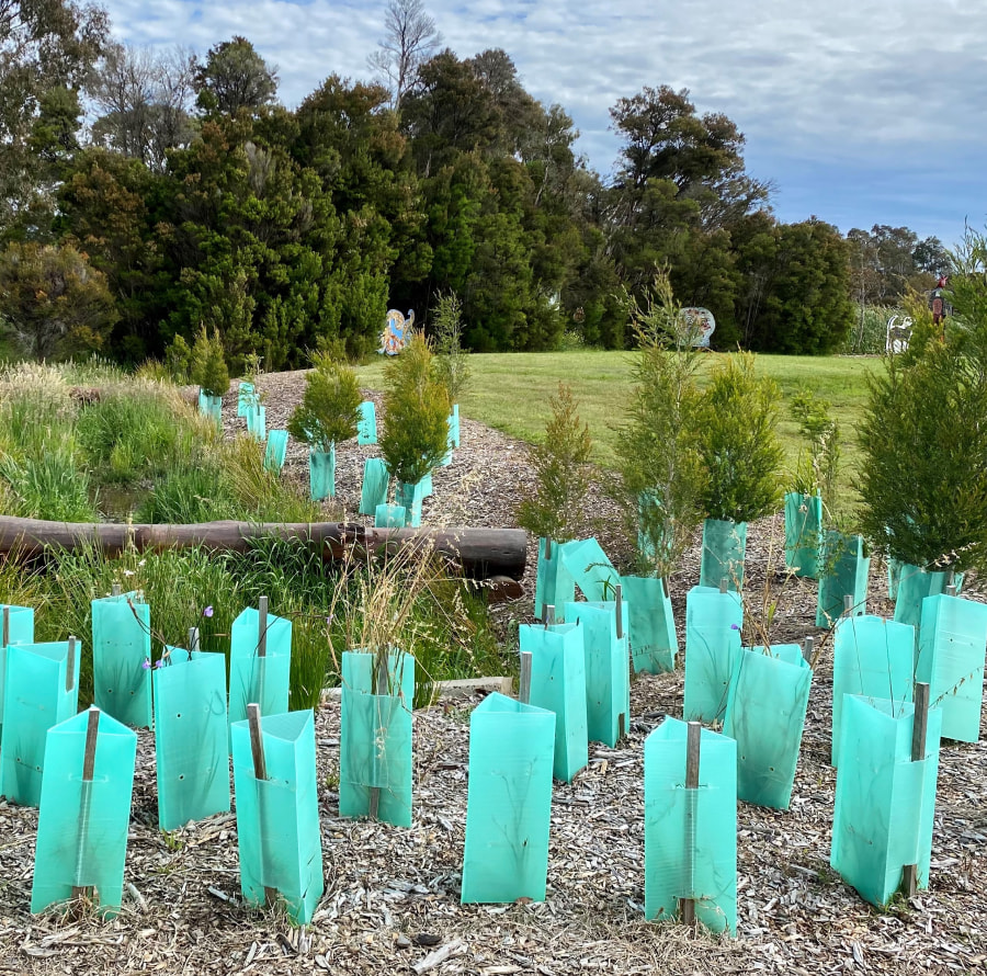 corex-tree-guards.jpg