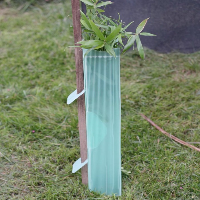 How to Choose the Right Corrugated Plastic Tree Guard for Your Project