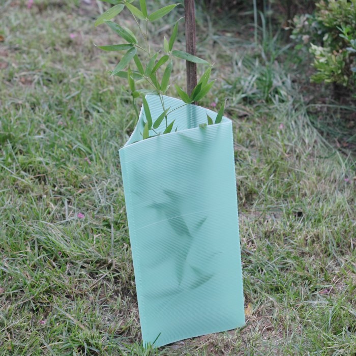 How Corrugated Plastic Tree Guards Protect Trees from Animals and Weather