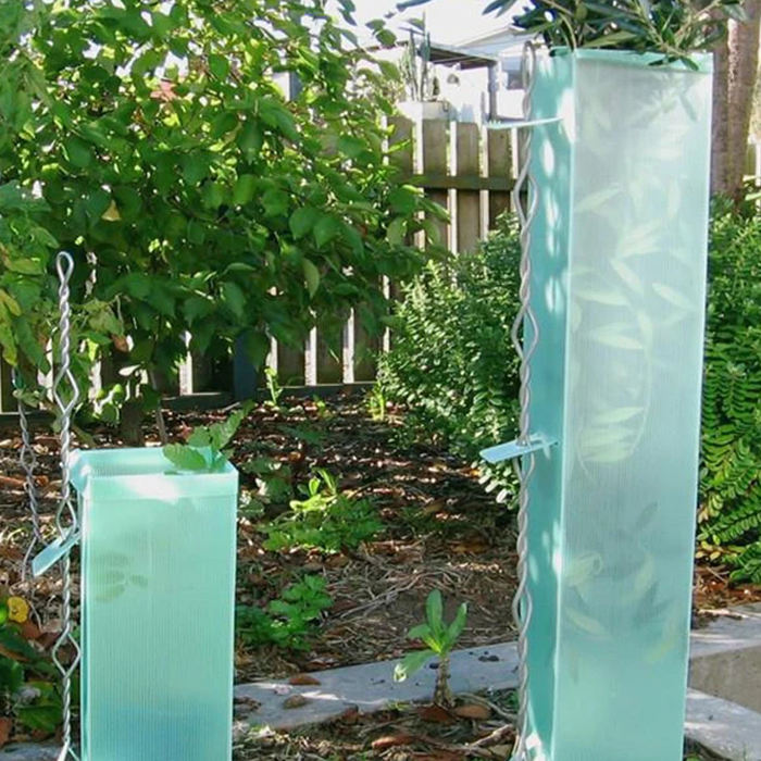 Why Corrugated Plastic Tree Guards Are the Best Choice for Young Tree Protection