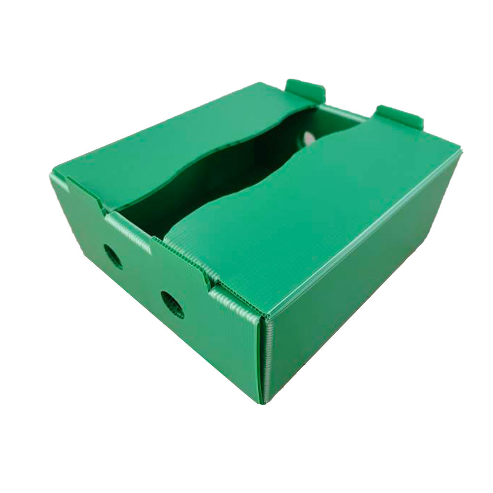 Industrial Plastic Boxes for Returnable Transit Packaging