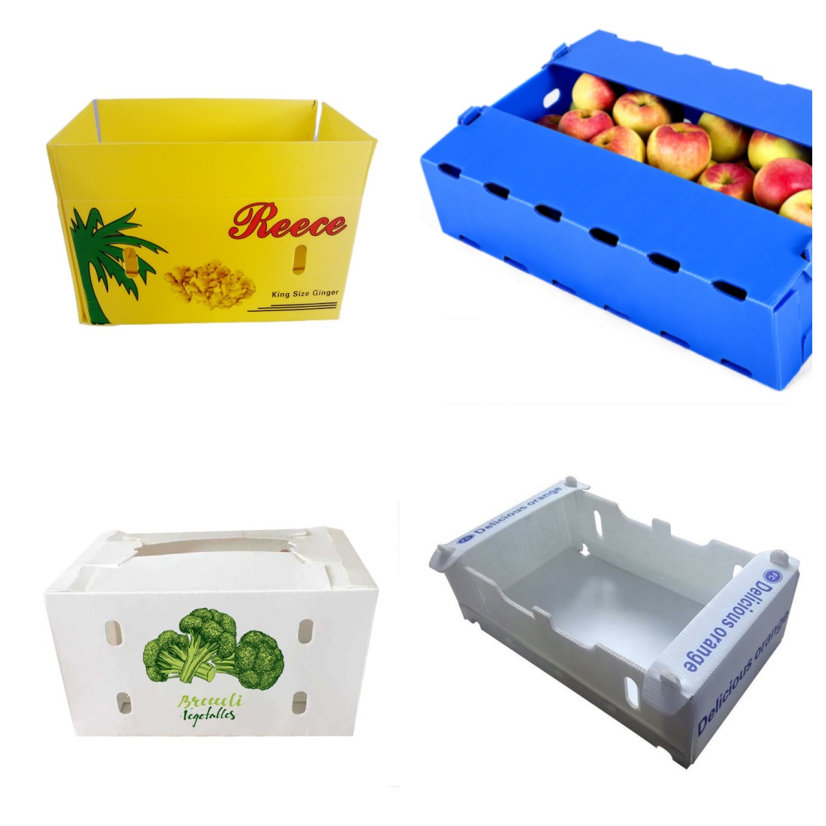 pp box 30.jpg pp box 30.jpg
