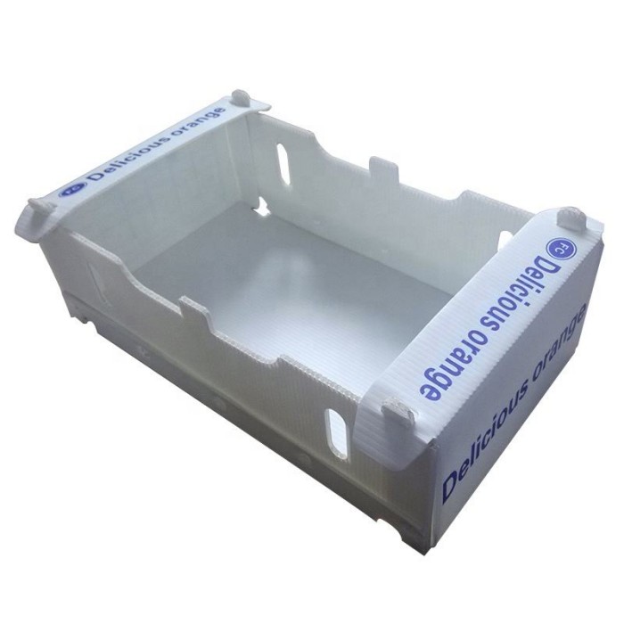 Corrugated Plastic Boxes for Agriculture and Food Distribution
