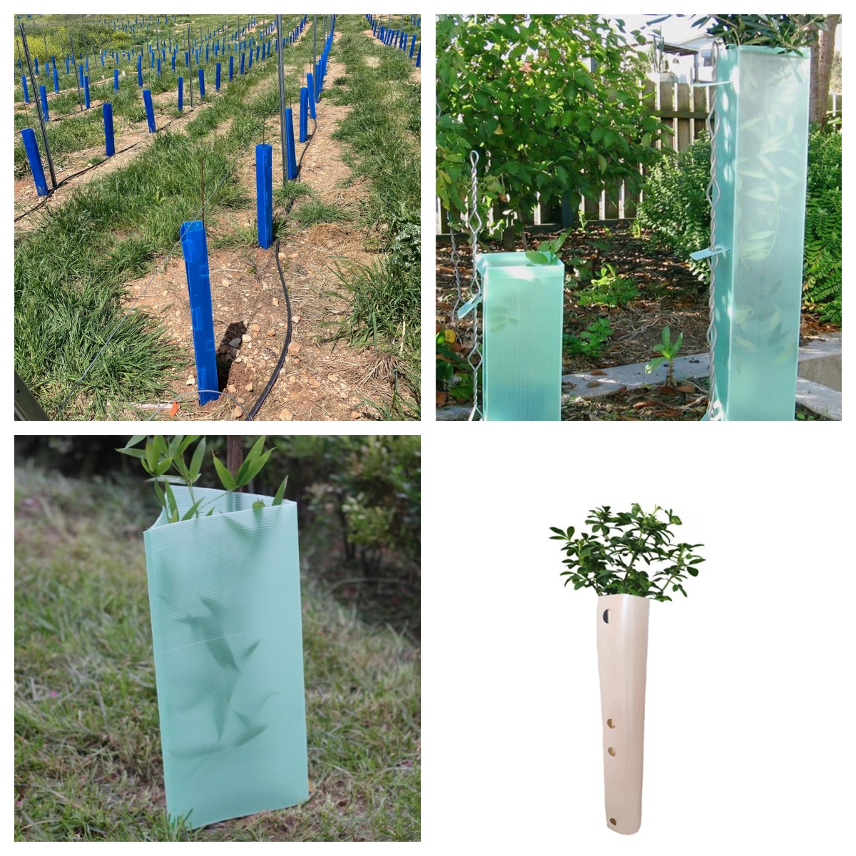 tree guards.jpg tree guards.jpg