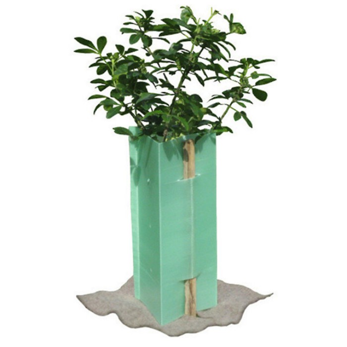 How Plastic Tree Guards Improve Tree Survival Rates