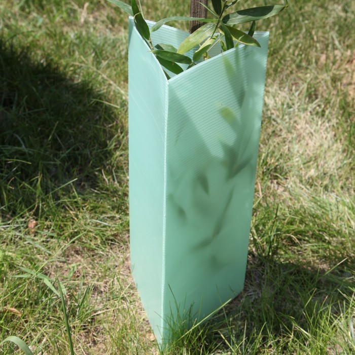 Why UV-Stabilized Plastic Tree Guards Are Worth the Investment