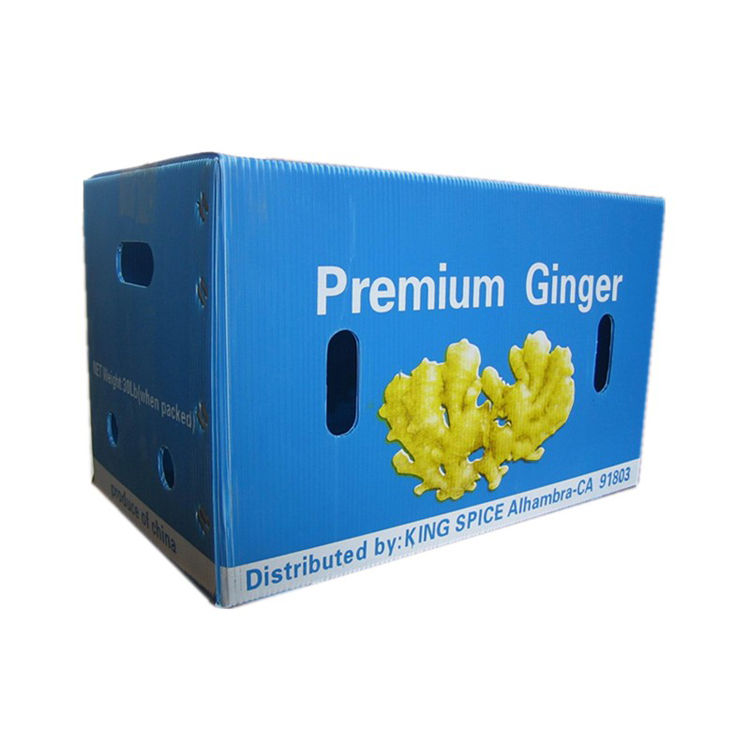 PP Corrugated Boxes for Fresh Produce